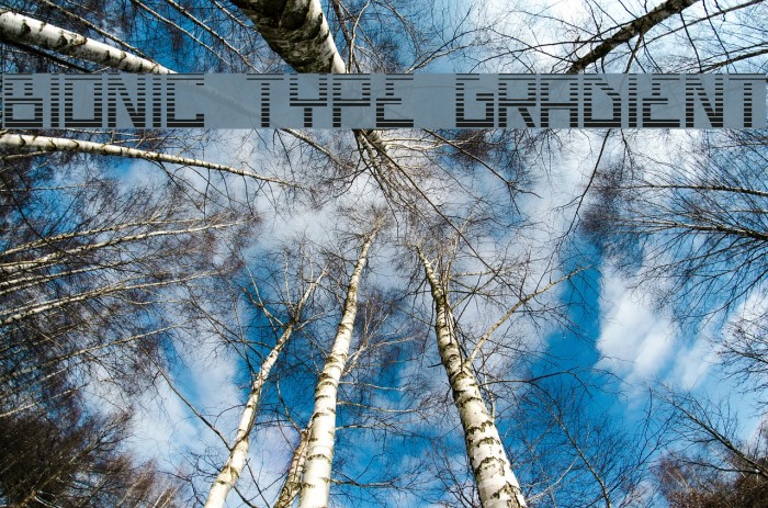 Bionic Type Gradient Font examples