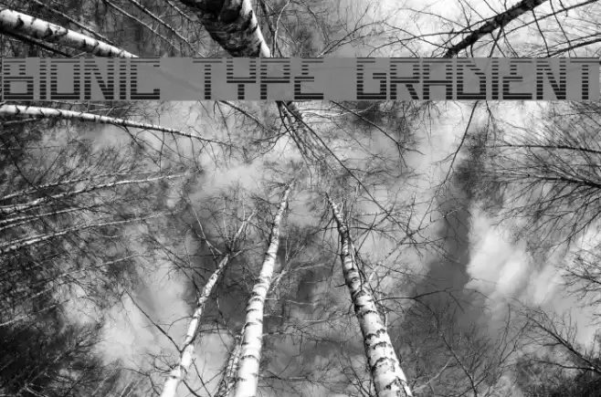 Bionic Type Gradient Font examples