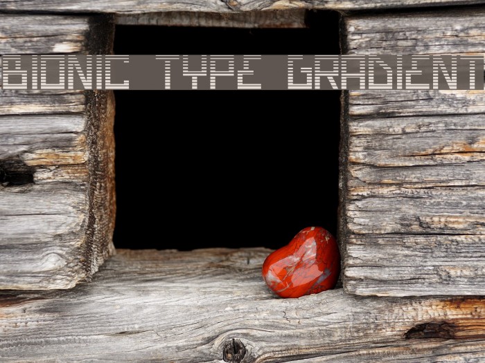 Bionic Type Gradient Font examples