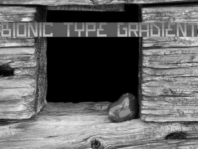 Bionic Type Gradient Font examples