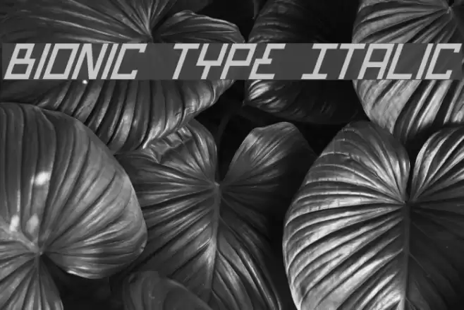 Bionic Type Italic Caratteri examples