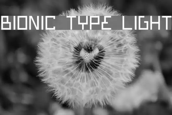Bionic Type Light Fuentes examples