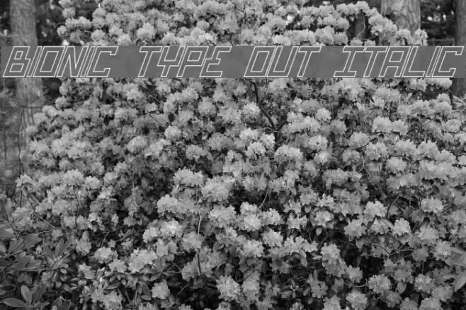 Bionic Type Out Italic Font examples