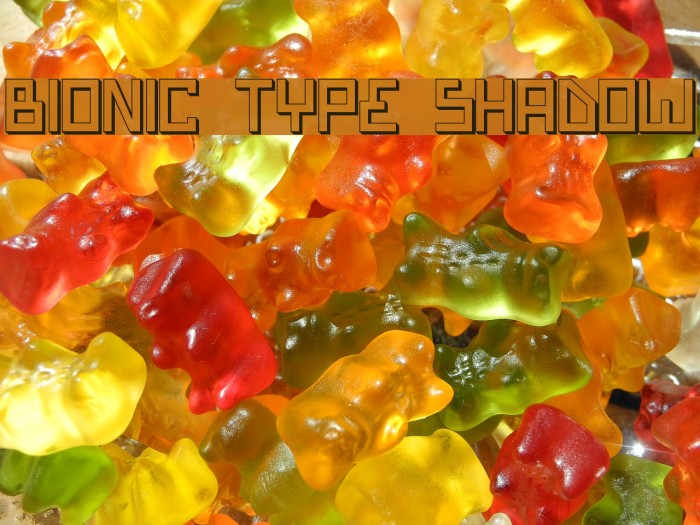 Bionic Type Shadow Font examples