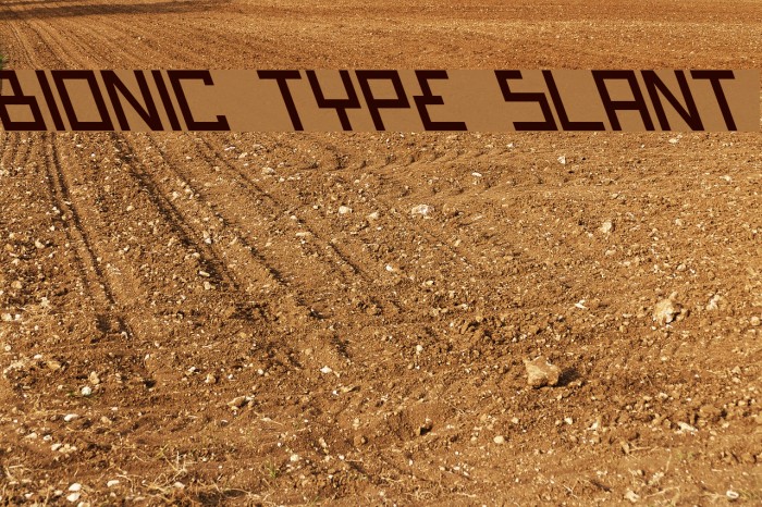 Bionic Type Slant Font examples