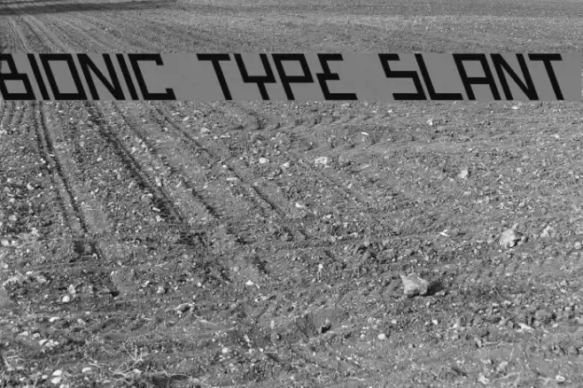 Bionic Type Slant Шрифта examples