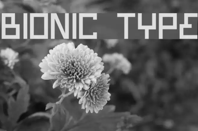 Bionic Type Font examples
