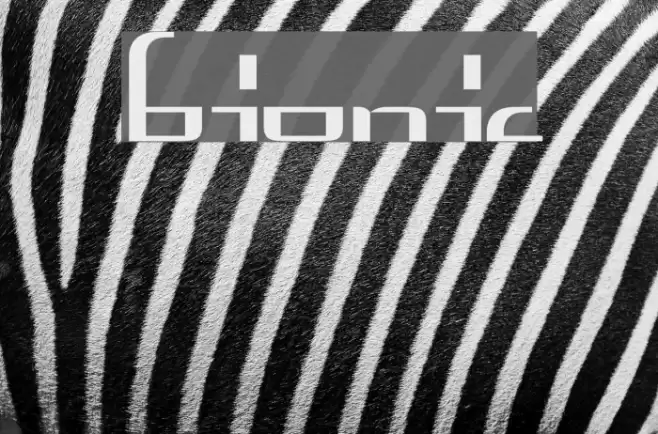 Bionic Font examples