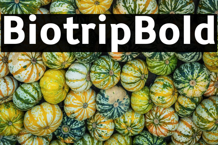 Biotrip Bold Example 1