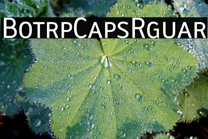 Biotrip Caps Regular Example 2