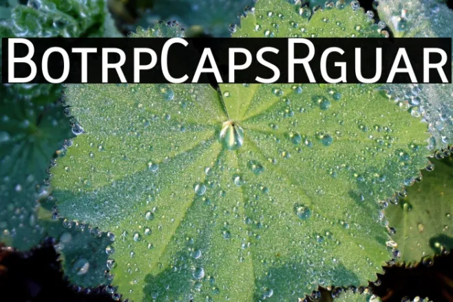 Biotrip Caps Regular Example 2