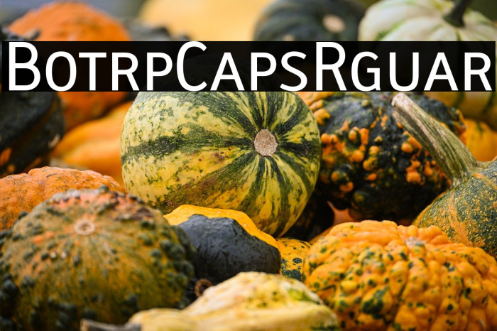 Biotrip Caps Regular Example 3