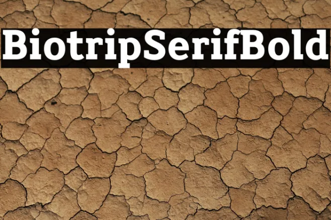 Biotrip Serif Bold Example 1