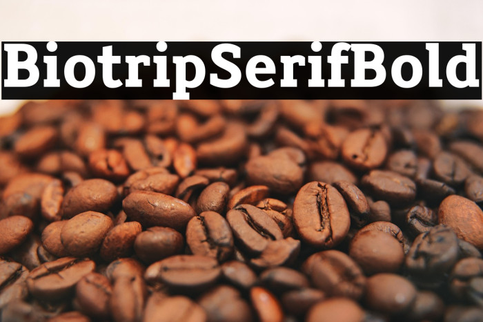 Biotrip Serif Bold Example 2