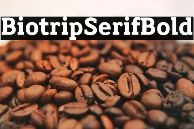 Biotrip Serif Bold Example 2