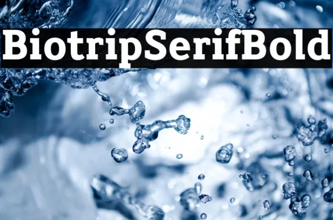 Biotrip Serif Bold Example 3