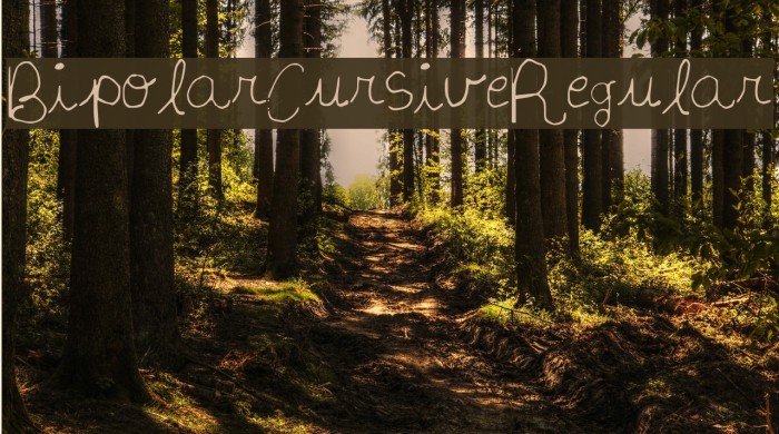 BipolarCursiveRegular Font examples