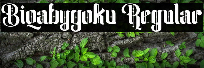 Biqabygoku Regular Example 2