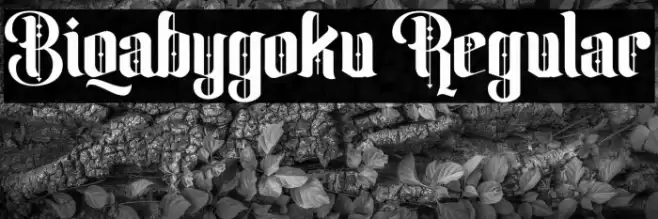 Biqabygoku Regular Font examples