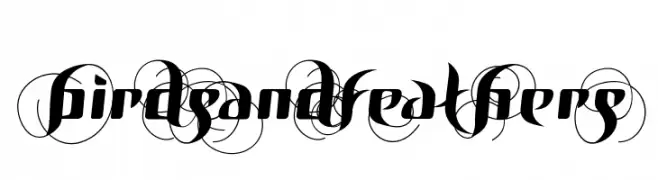 BirDSAnDFEatHerS  لخطوط تنزيل