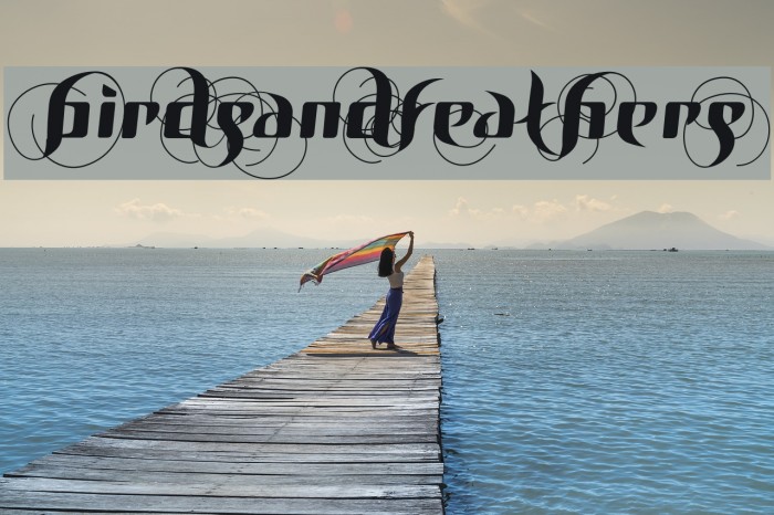 BirDSAnDFEatHerS Font examples