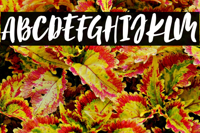 BirabellaScript Example 2