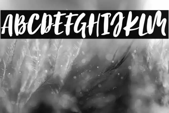 BirabellaScript Font examples