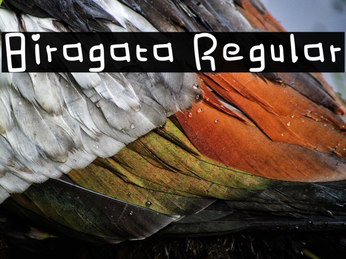 Biragata Regular Example 1