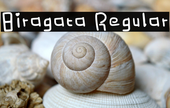 Biragata Regular Example 3