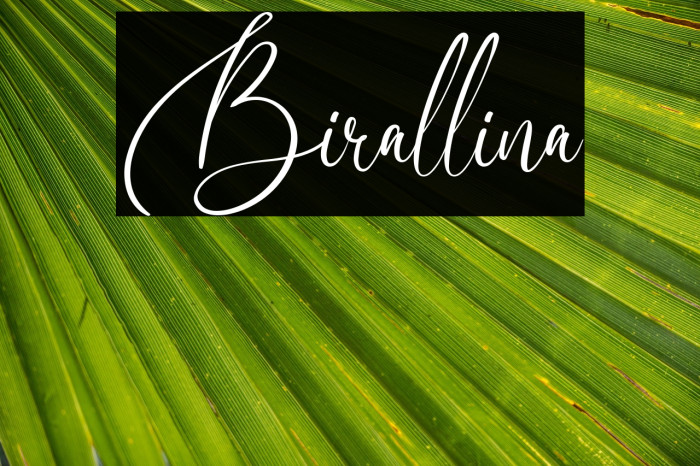 Birallina Example 3