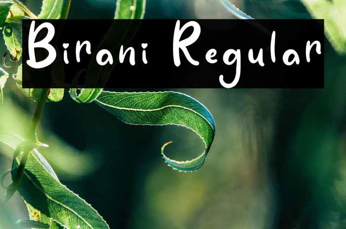 Birani Regular Caratteri examples