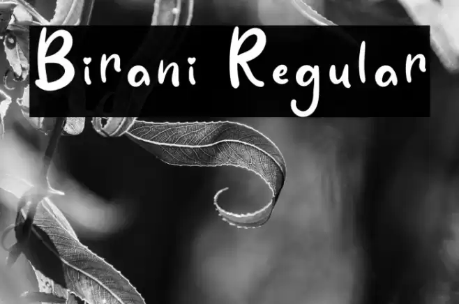Birani Regular फ़ॉन्ट examples