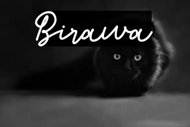 Birawa Font examples