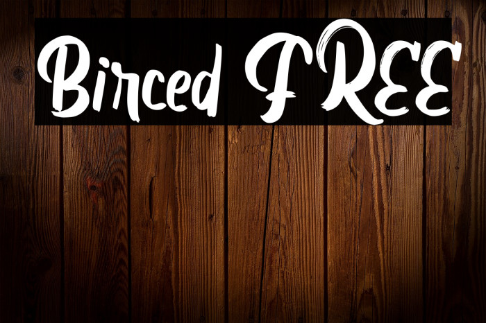 Birced FREE Example 1