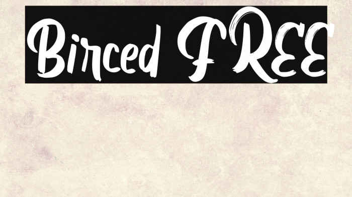 Birced FREE Example 2