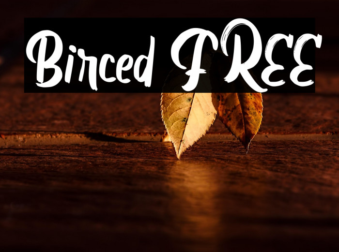 Birced FREE Example 3