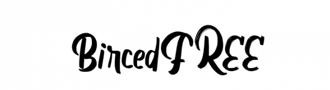 BircedFREE  Free Fonts Download