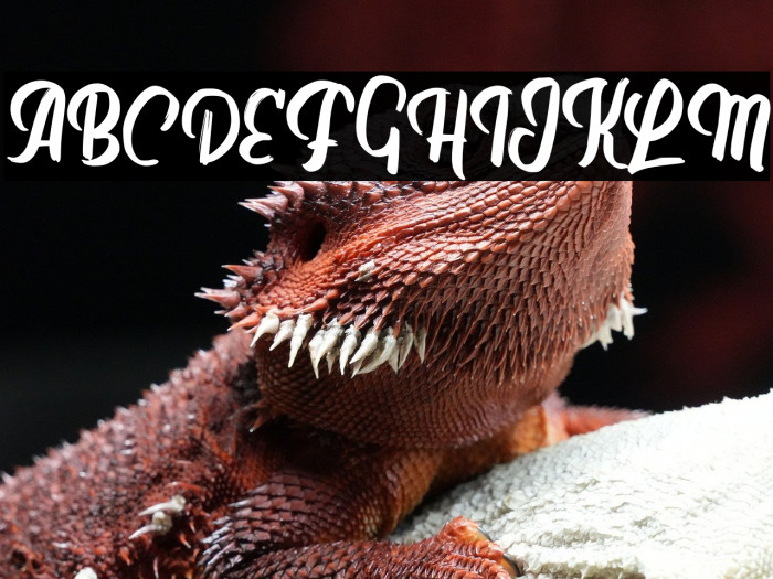 BircedFREE Example 3