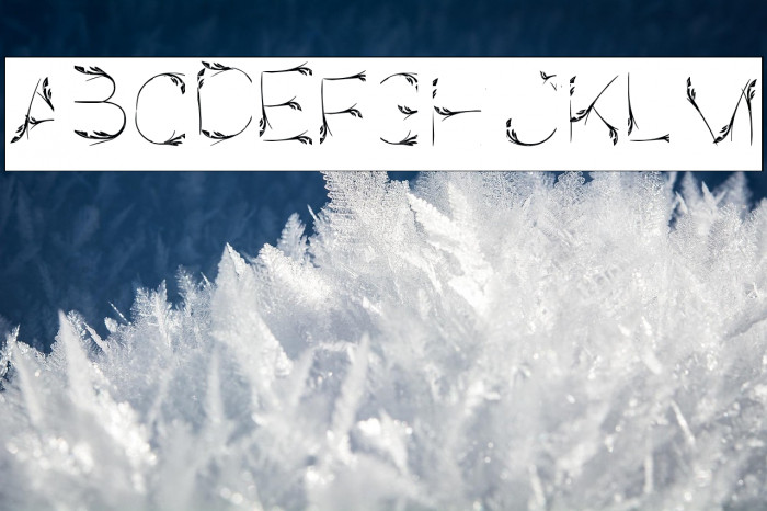 Bird Feather-Inverse Example 2