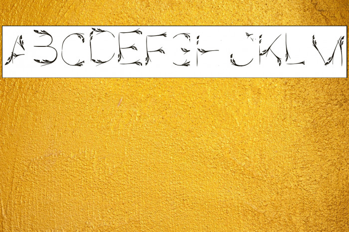 Bird Feather-Inverse Example 3