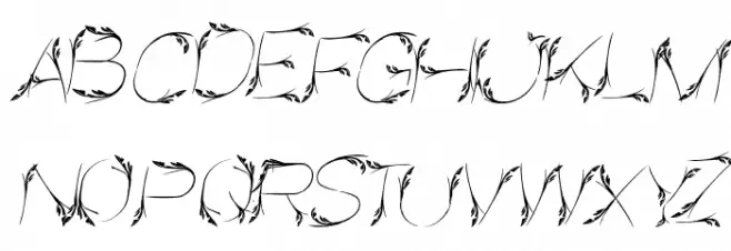 Bird Feather Italic Fonte MAIÚSCULAS