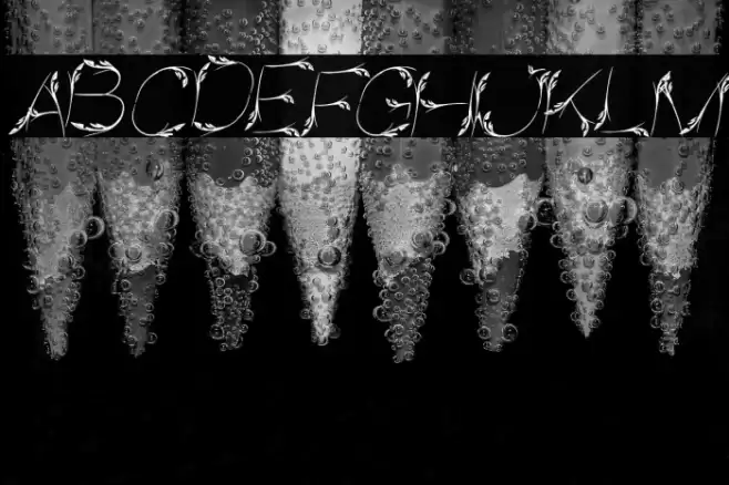 Bird Feather Italic Font examples