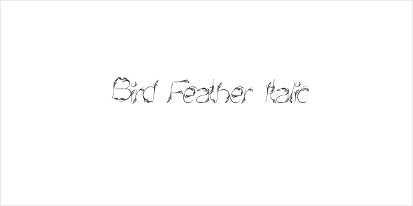 Bird Feather Italic Logo