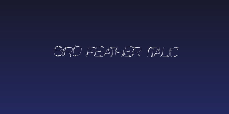 Bird Feather Italic Social Header