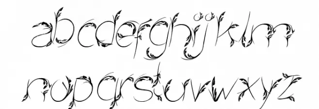 Bird Feather Italic Fuentes MINÚSCULAS