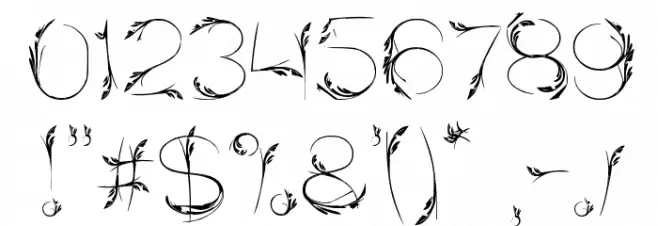 Bird Feather Font OTHER CHARS