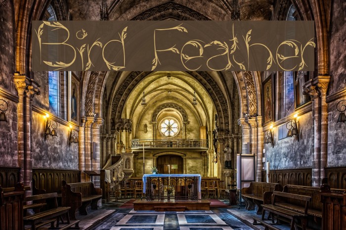 Bird Feather Font examples