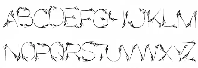 Bird Feather Schriftart Groß