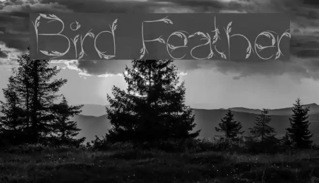 Bird Feather Font examples