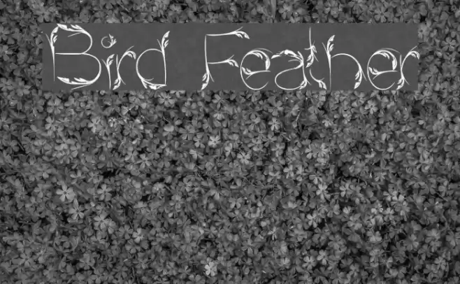 Bird Feather Font examples